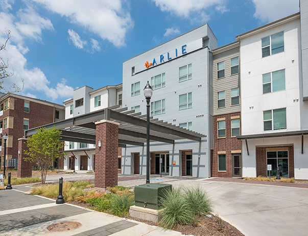 The Arlie